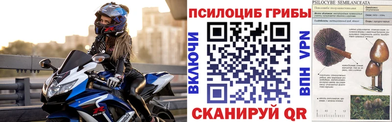 Галлюциногенные грибы MAGIC MUSHROOMS купить закладку Тарко-Сале